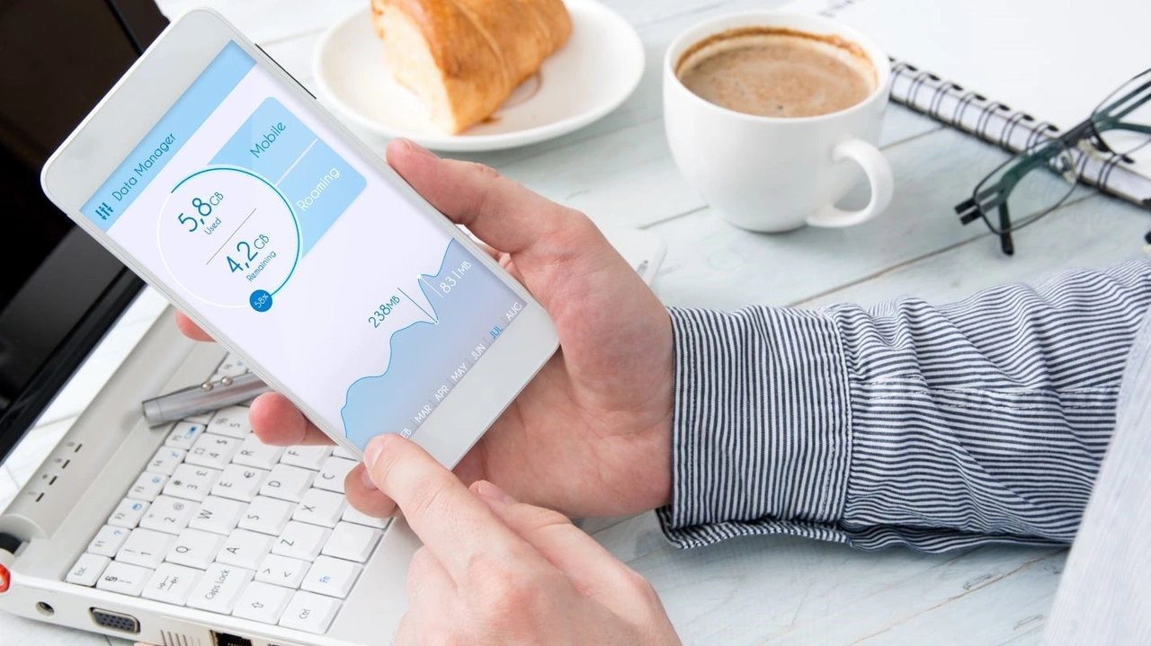 Smartphone mit Data Manager