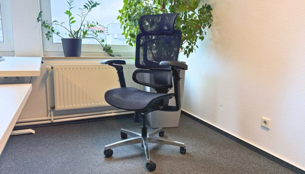 Flexispot ErgoX Pro Chair (Foto: Testsieger.de)