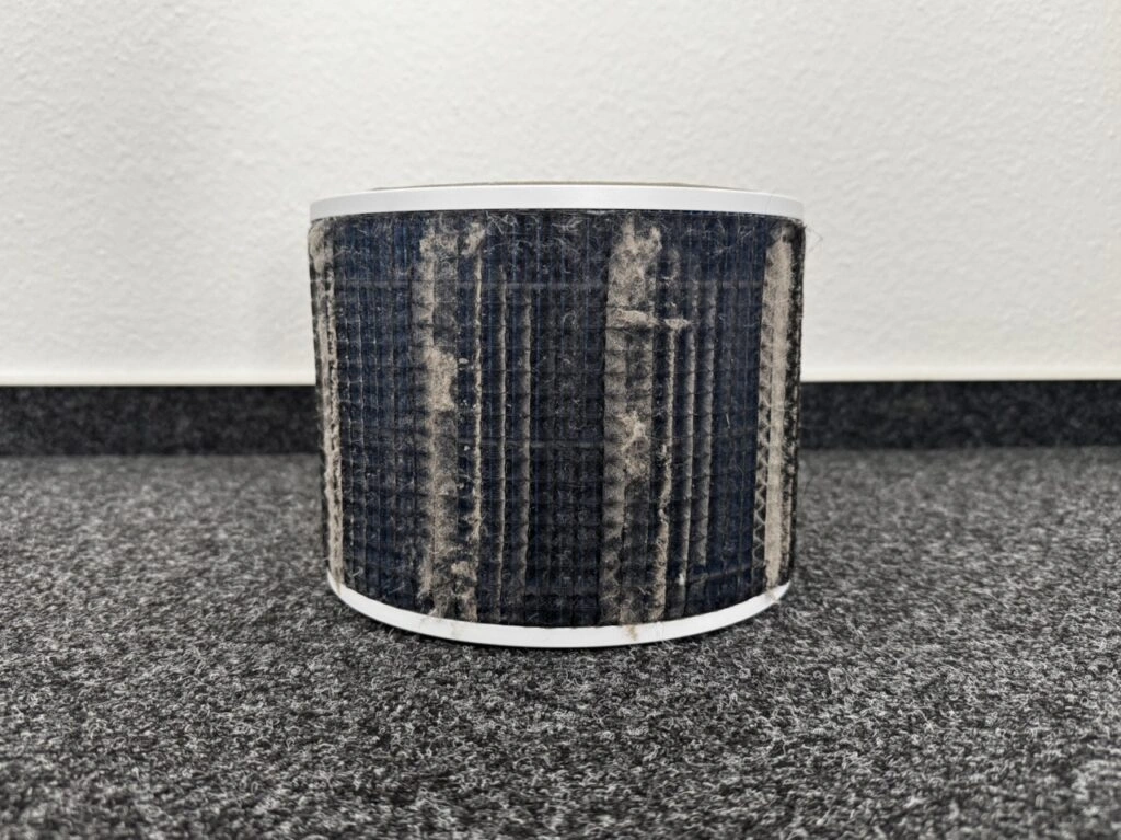 Ein stark verschmutzter, zylindrischer Filter mit sichtbarem Staub und Tierhaaren auf dunklem Filtervlies. Steht auf Teppichboden.