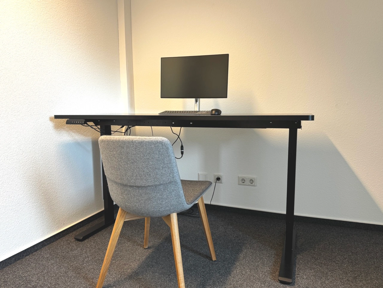 Flexispot E1 Pro (Foto: Testsieger.de)