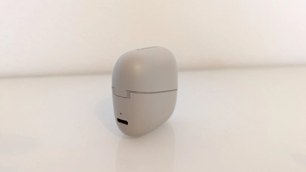 Panasonic RB-F10: Rückseite des Ladecase mit USB-C-Port