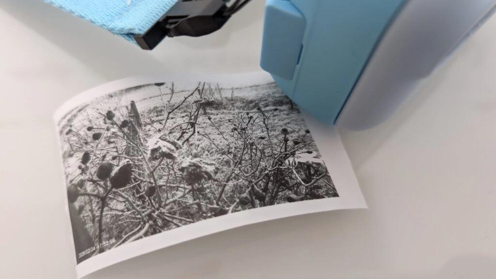 „myFirst Camera Insta 20“: „Gedrucktes Schwarz-Weiß-Foto neben der Kamera“