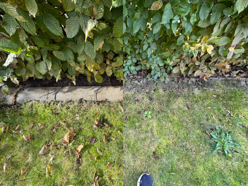 Eine Collage, die links die gereinigten und rechts die ungereinigten Pflastersteine zeigt (Foto: Testsieger.de)