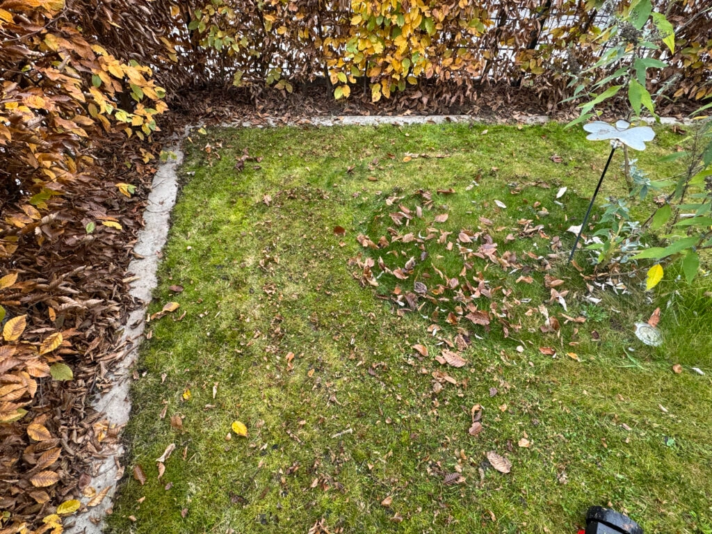 Nahaufnahme der Mähergebnisse (Foto: Testsieger.de)