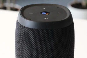 JBL Link 20