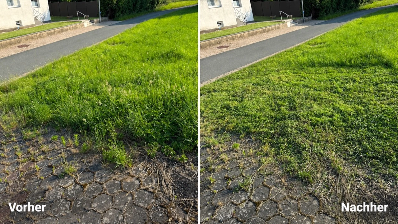 Einhell Akku-Rasentrimmer GE-CT 18/25-1 Li-Solo: Vorher-Nachher-Vergleich auf dichtem Gras