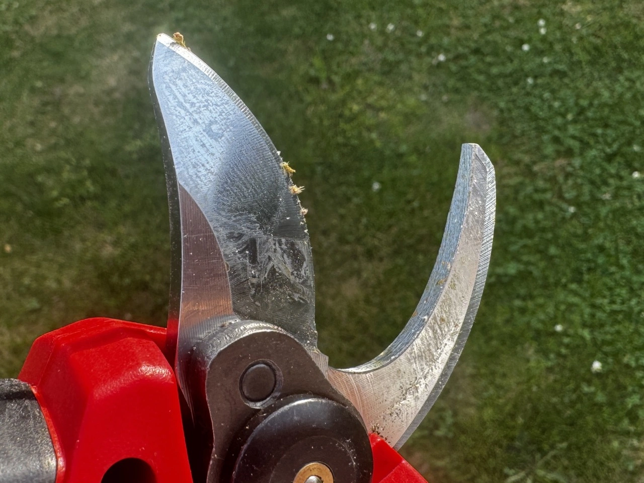 Einhell Akku-Astschere GP-LS 18/28 Li BL-Solo: Klingen nach den Schnitttests