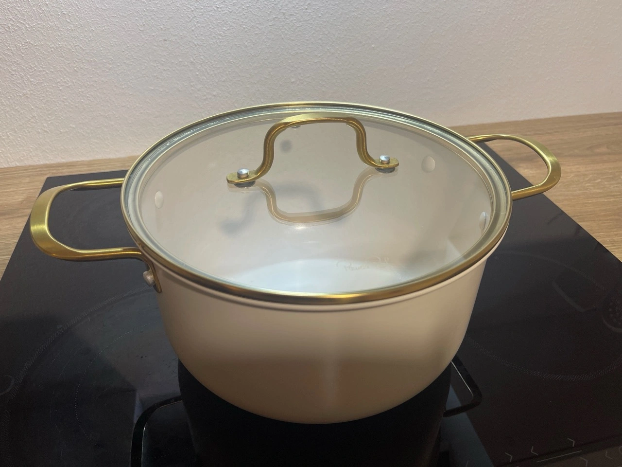 Fackelmann Pamela Reif Kochtopf mit Deckel Signature Ø24cm: geschlossener Topf auf dem Cerankochfeld