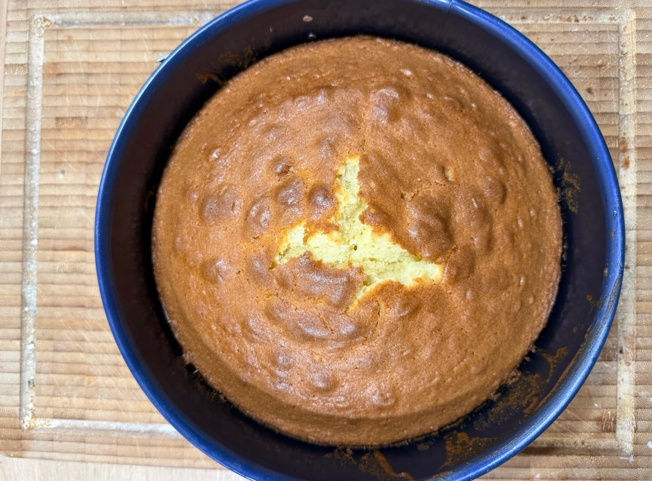 Dr. Oetker Springform Back-Liebe Emaille: gleichmäßig gebackener Rührkuchen
