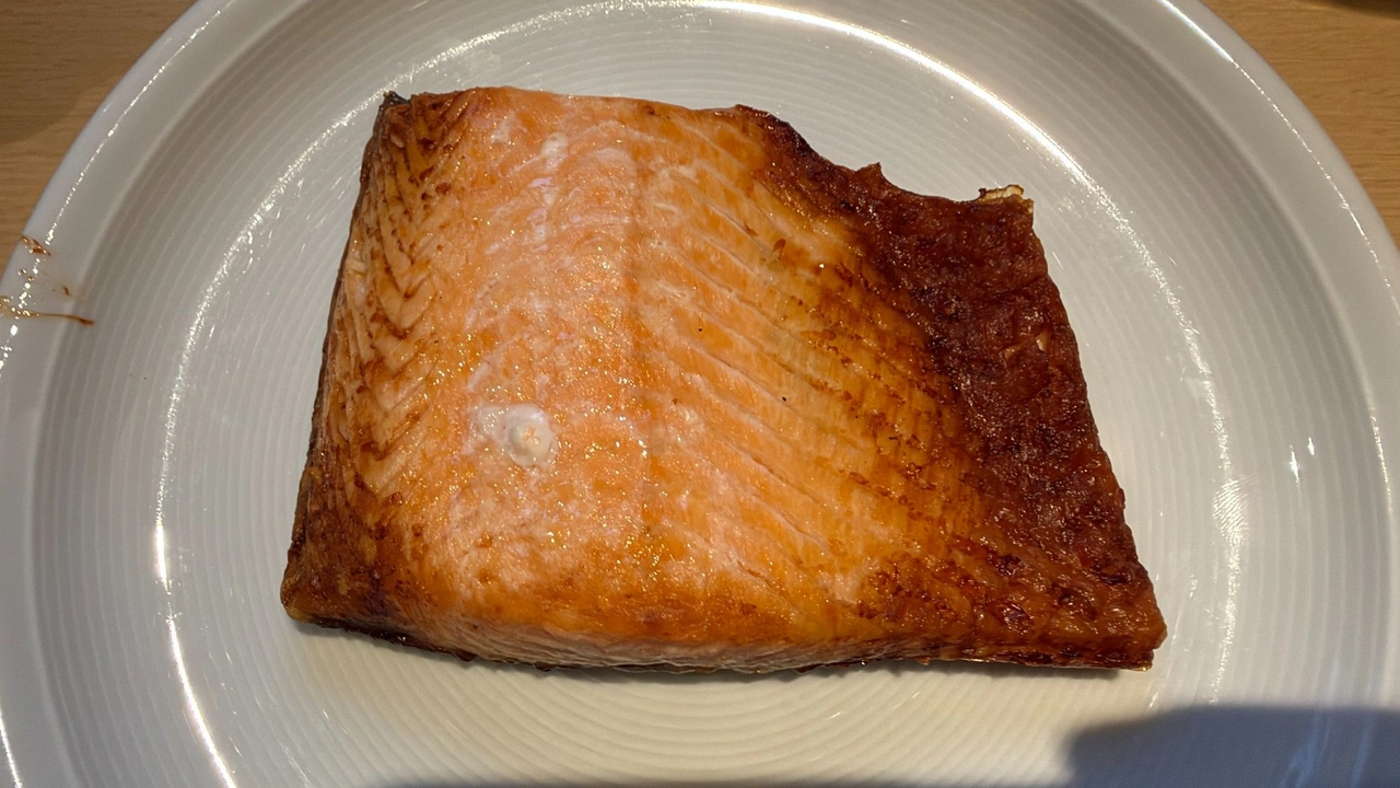 Panasonic Slimline NN-CT57RMEPG: gegrillter Lachs auf einem Teller