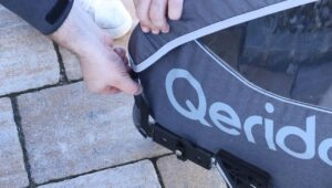 Qeridoo Qupa 1