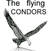 The flying Condors GbR