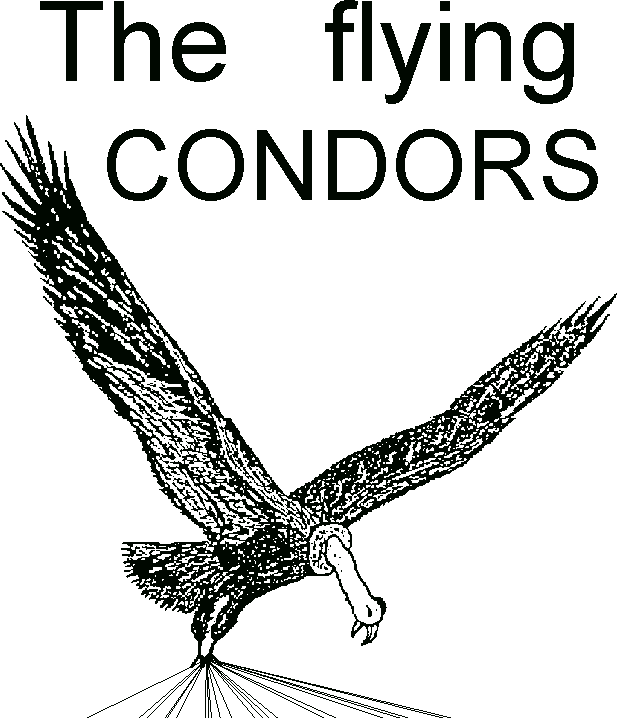 The flying Condors GbR