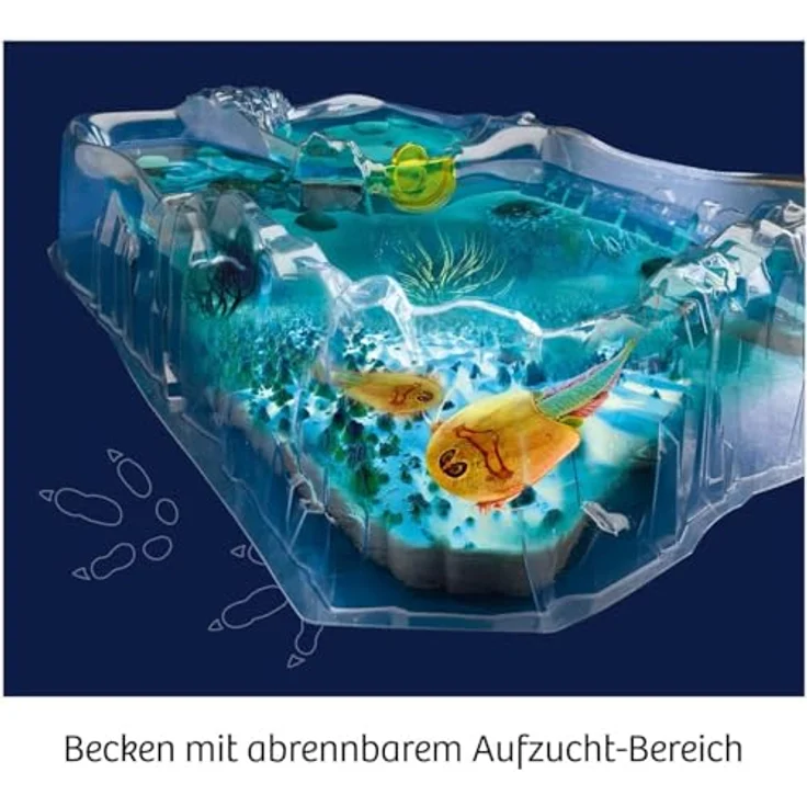 KOSMOS - Triops züchten – Bild 4