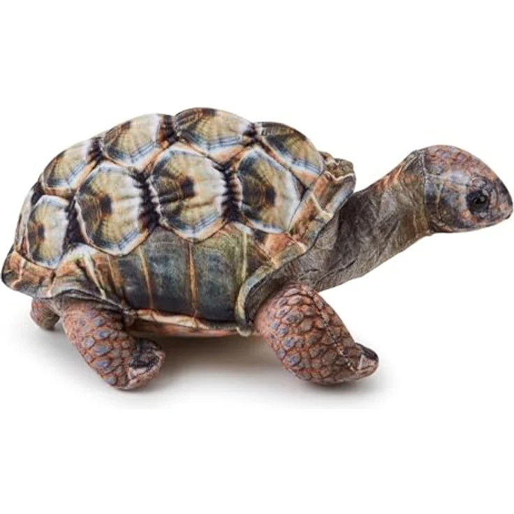 Zappi Co Aldabra-Riesenschildkröte Plüschtier, 26 cm realistisch, weich und langlebig, für kinderfreundliches Spiel und pädagogische Unterhaltung – Bild 4