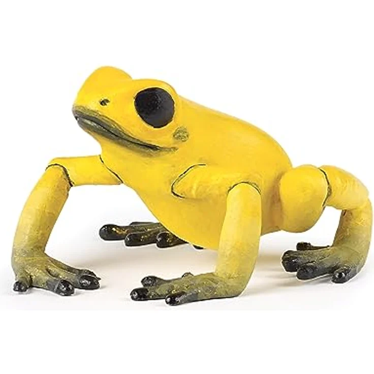 Gelber Äquatorialfrosch - Preisvergleich – Bild 2