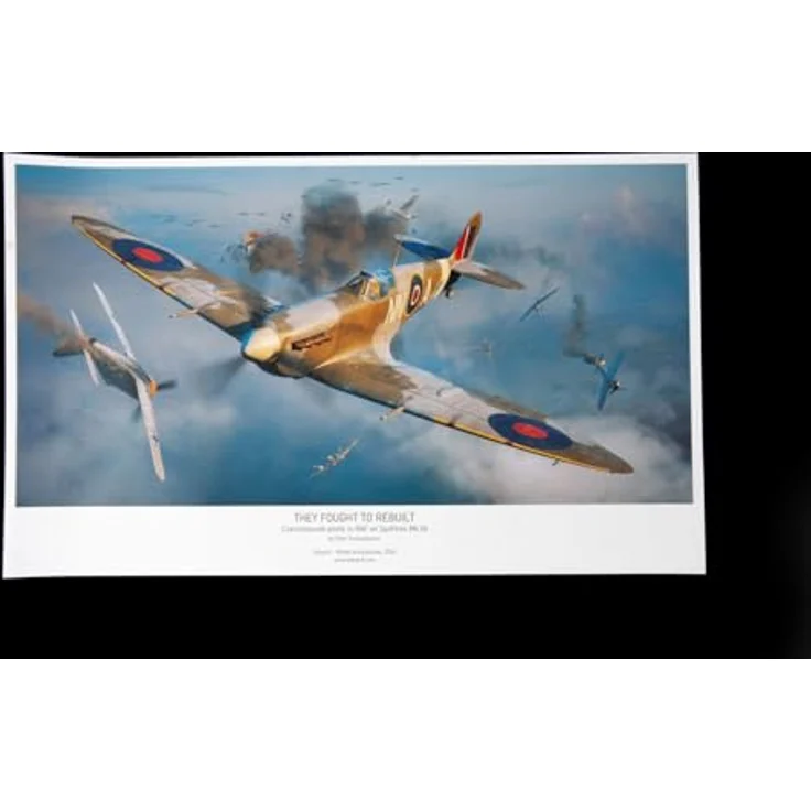 Eduard Eduard EDU11180 1/48 Dual Combo Limited Edition British Spitfire Mk.5b, Kunststoffmodell mit 12 Markierungen und geätzten Teilen – Bild 5