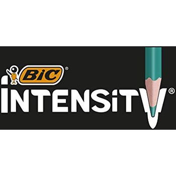 Buntstifte Test: Kreativität ohne Grenzen - Ausmalen für Groß und Klein!