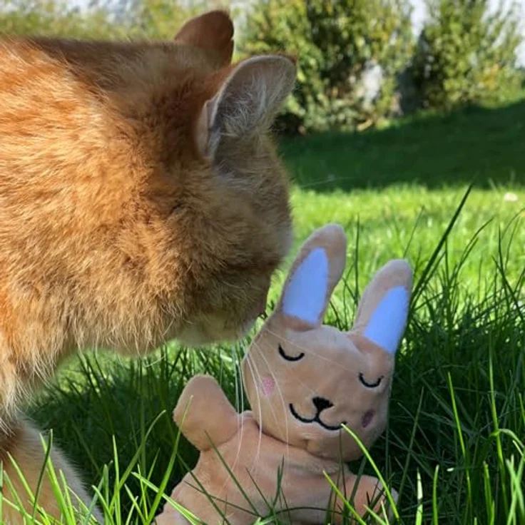 Aumüller Baldi Bunny, Katzenspielzeug Plüschtier mit Baldrianfüllung und Dinkelspelz, braun, 16 x 9 x 6 cm – Bild 3