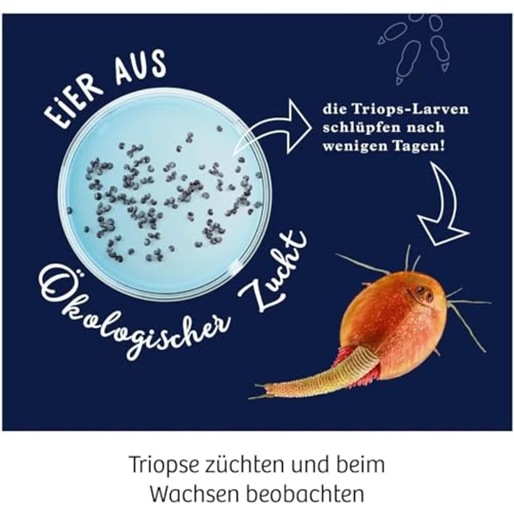 KOSMOS - Triops züchten – Bild 3