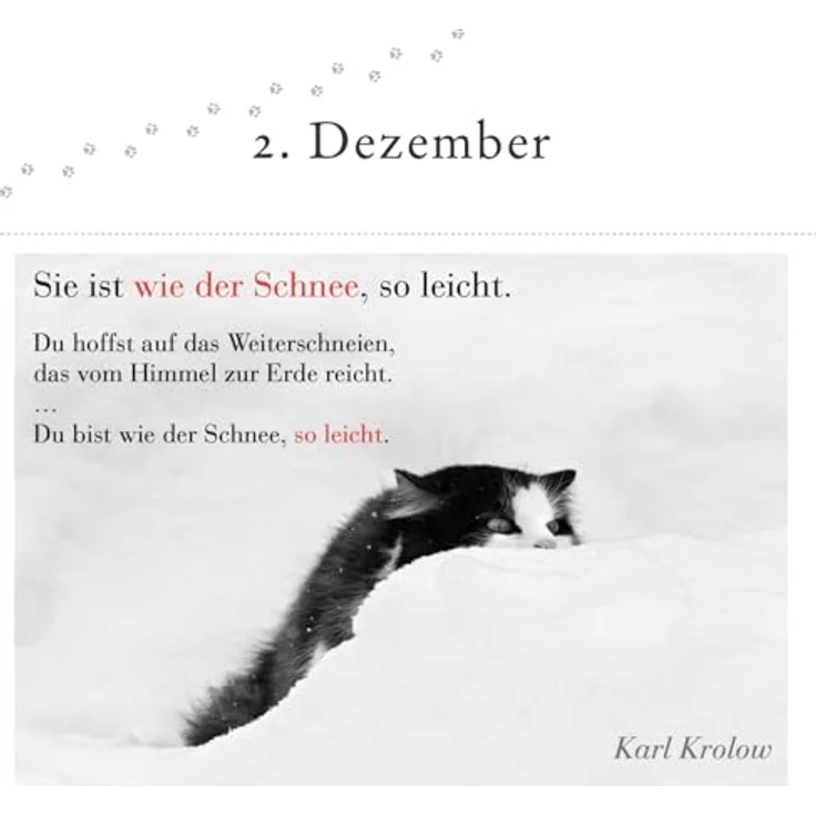Sonstige Verlage, Der literarische Katzen-Adventskalender mit 24 Postkarten und literarischen Zitaten – Bild 3