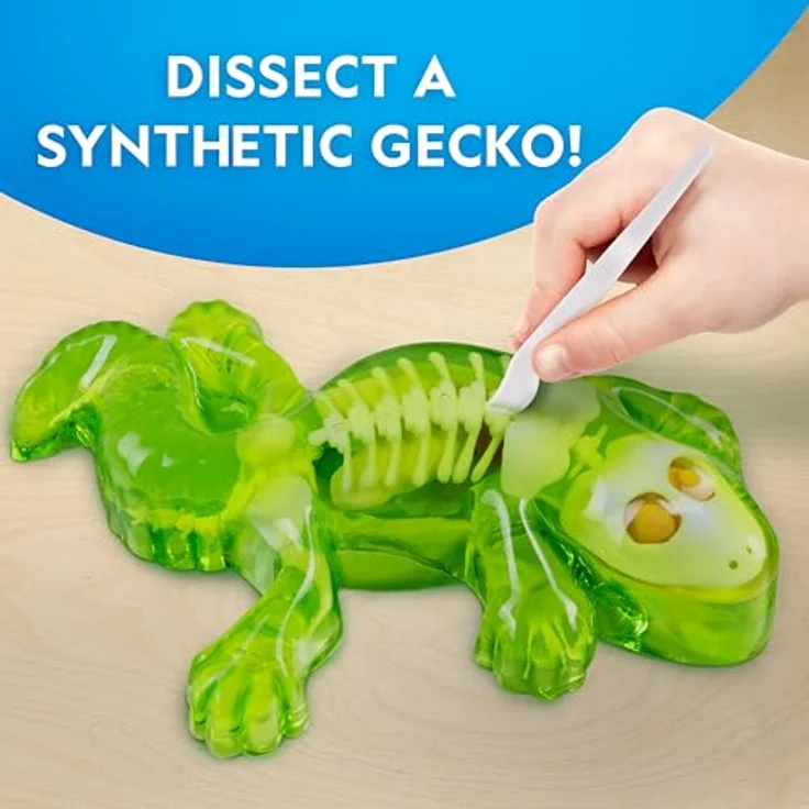 National Geographic Gecko Dissection Lab (29-2451), Experimentierkasten zur Anatomie von Geckos mit vollständigem Zubehör – Bild 2