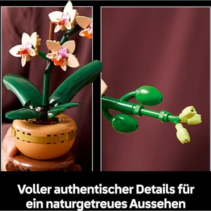 LEGO LEGO® Botanicals Mini-Orchidee 10343, Kunstblumen Set mit 274 Teilen, terrakottafarbener Blumentopf – Bild 5