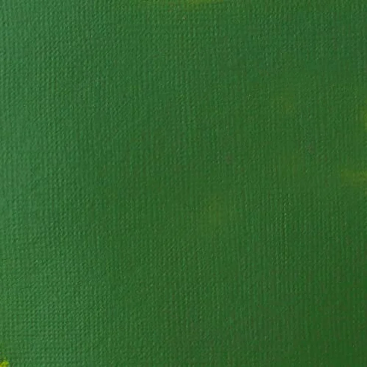Liquitex Basics Acrylfarbe Hookers Grün Permanent, 22 ml Tube, lichtecht, mittlere Viskosität, seidenglänzend, monopigmentiert, Archivqualität – Bild 2