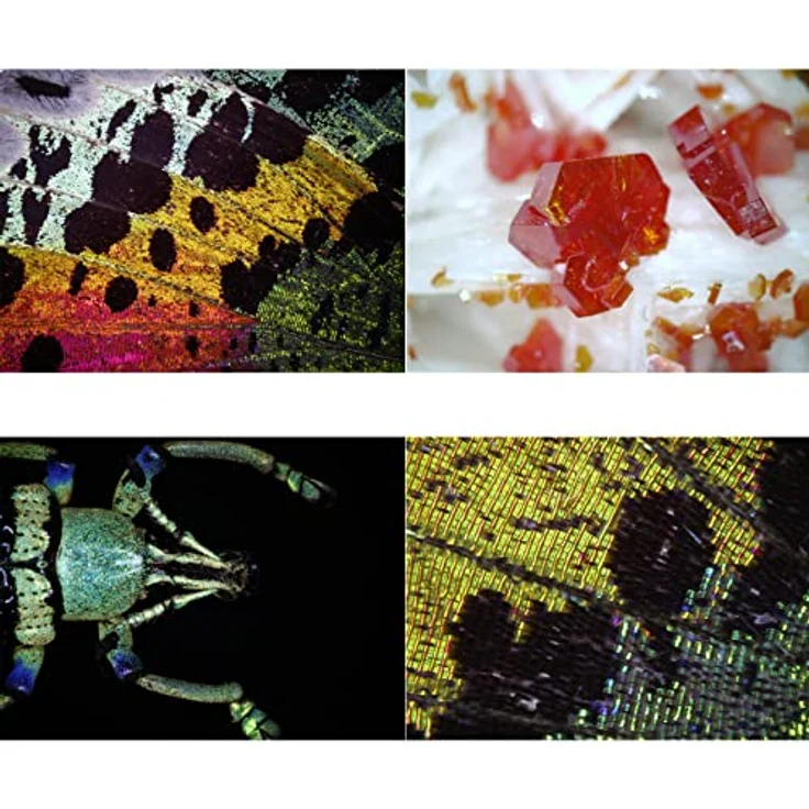 Bresser DST-1028 5.1MP Digitalmikroskop mit 10- bis 280-facher Vergrößerung und LED-Ringlicht – Bild 4