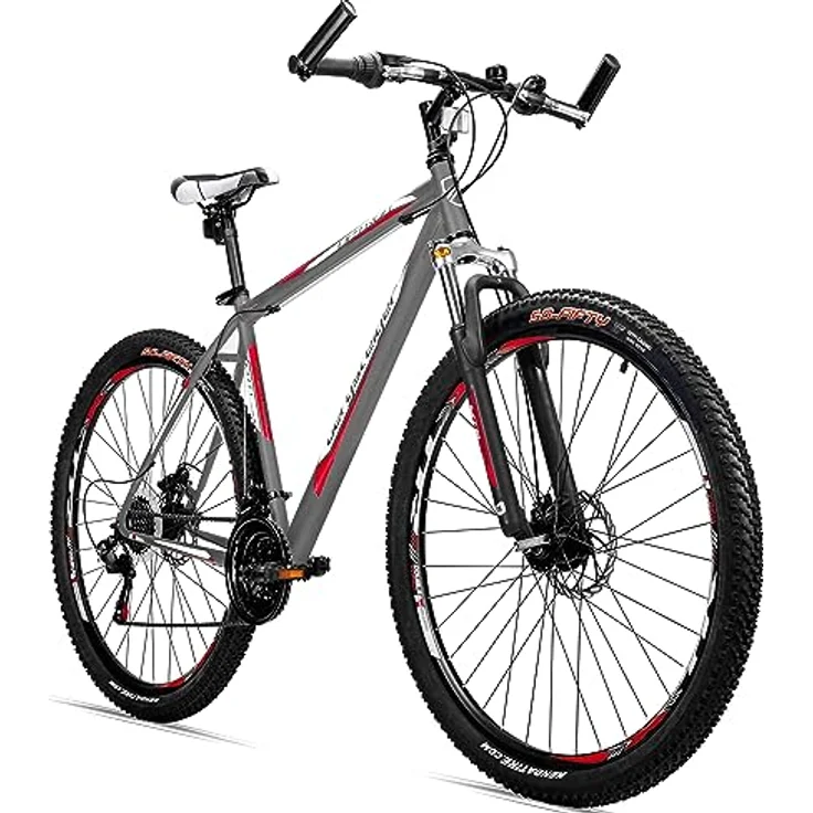 Bergsteiger Detroit 29 Zoll Mountainbike, geeignet ab 170 cm, Scheibenbremse, Shimano 21 Gang-Schaltung, Gabel-Federung mit Lockout-Funktion, Jungen-Fahrrad & Herren-Fahrrad – Bild 1