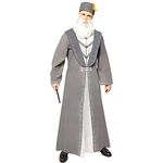 Amscan - Erwachsenenkostüm Dumbledore aus Harry Potter, Umhang, Hut, Bart, Schulleiter Hogwarts, Zauberer, Magier - Preisvergleich