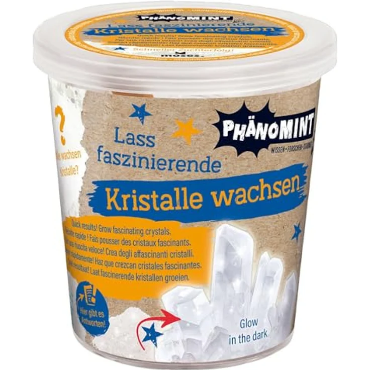 PhänoMINT Kristalle züchten – Bild 6