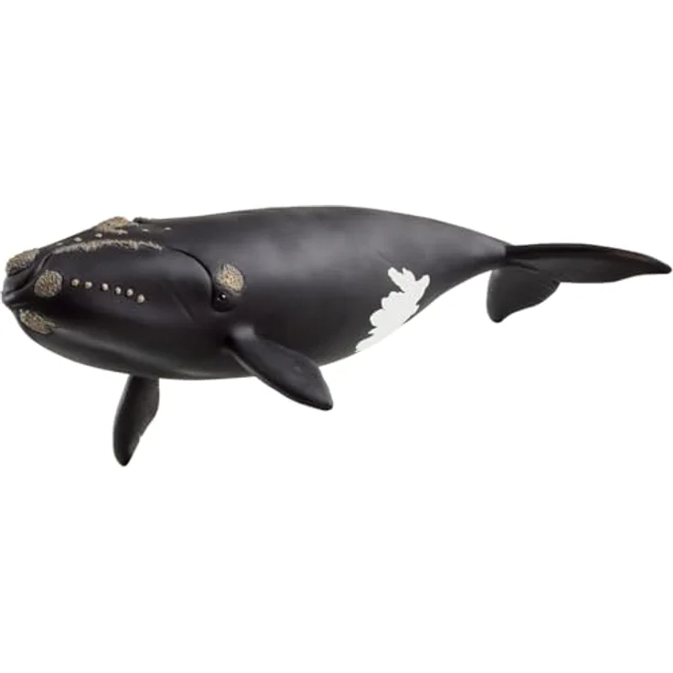 Schleich Nordatlantischer Glattwal (14878), Wild Life Figur, 19 x 9,6 x 4,7 cm, bedrohte Tierart – Bild 1