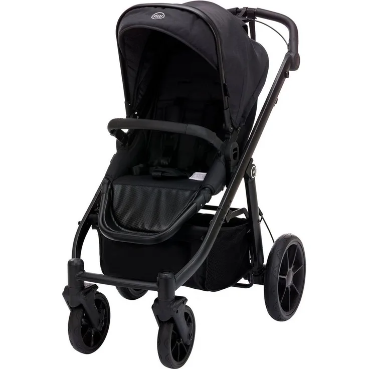 Fillikid Kinder-Buggy Fill Voyager, 2-in-1 Kinderwagen mit Handbremse, höhenverstellbarem Schiebegriff und verstellbarer Liegeposition, für Neugeborene bis 22 kg, kompakt faltbar