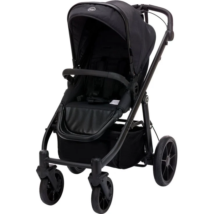 Fillikid Kinder-Buggy Fill Voyager, 2-in-1 Kinderwagen mit Handbremse, höhenverstellbarem Schiebegriff und verstellbarer Liegeposition, für Neugeborene bis 22 kg, kompakt faltbar