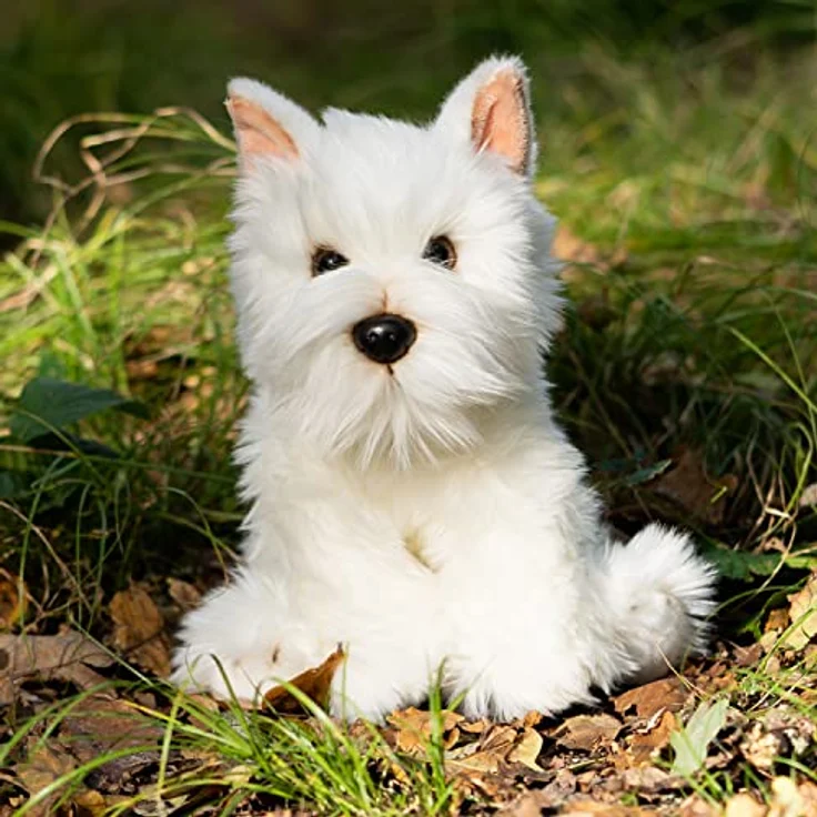 Animigos World of Nature Westie Dog, 26 cm hoch, realistische Details, umweltfreundlich – Bild 4