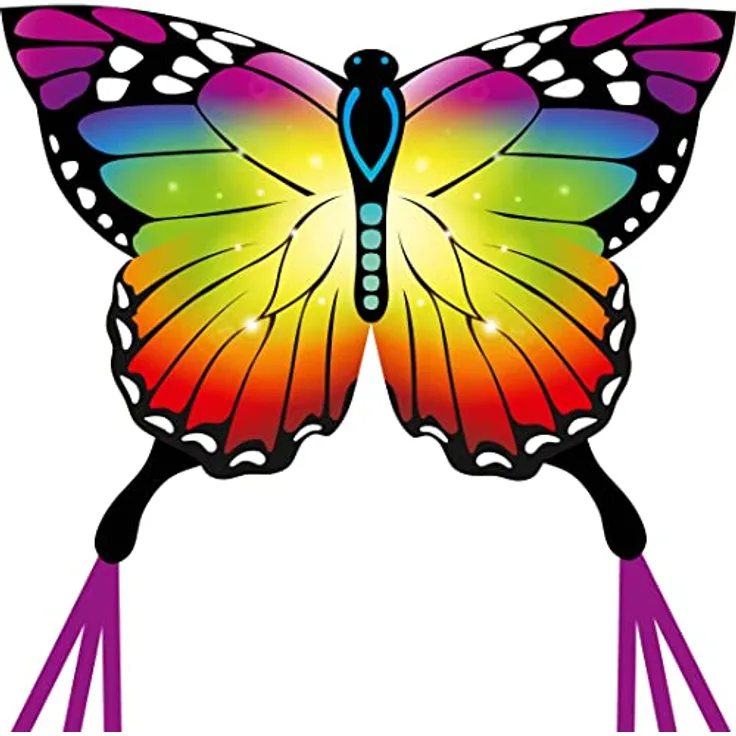 HQ Design Ecoline Butterfly Kite, Rainbow Kinderdrachen 95x120cm mit 1,9m Drachenschwanz, 25m Polyesterschnur, ideal für wenig Wind (2-4 Bft), ab 5 Jahren