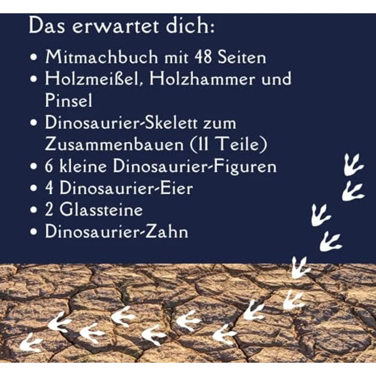 Frech Dinosaurier - Der Ausgrabungs-Adventskalender, 24 coole Überraschungen, Mitmachbuch und Werkzeugset – Bild 10