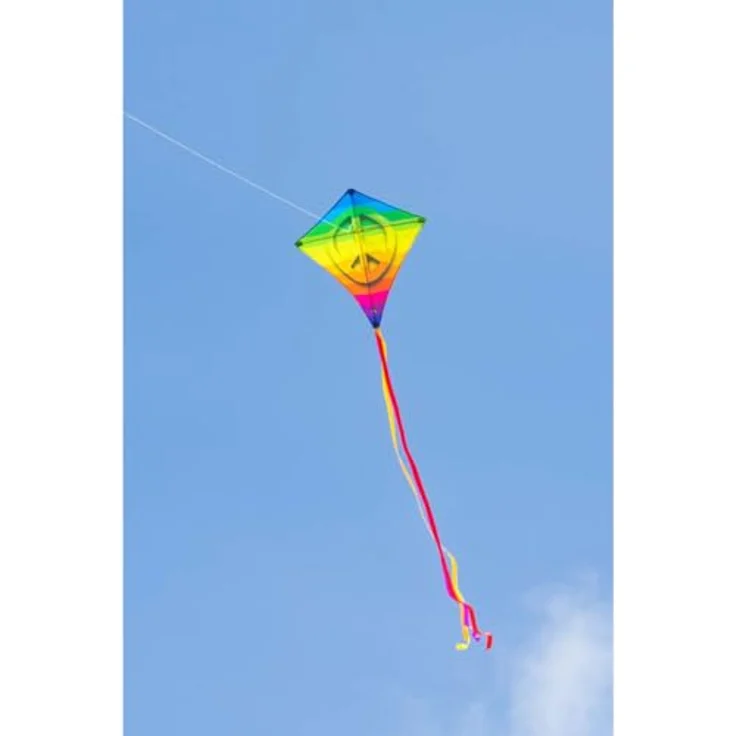 HQ Eddy Kinderdrachen Rainbow Peace, Einleiner Drachen 68x68cm mit 2m Drachenschwanz, inklusive 40m Polyesterschnur, ideal für wenig Wind, ab 5 Jahren – Bild 5