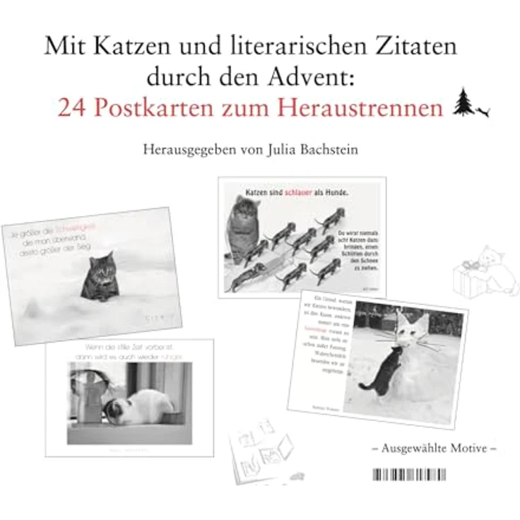 Sonstige Verlage, Der literarische Katzen-Adventskalender mit 24 Postkarten und literarischen Zitaten – Bild 2