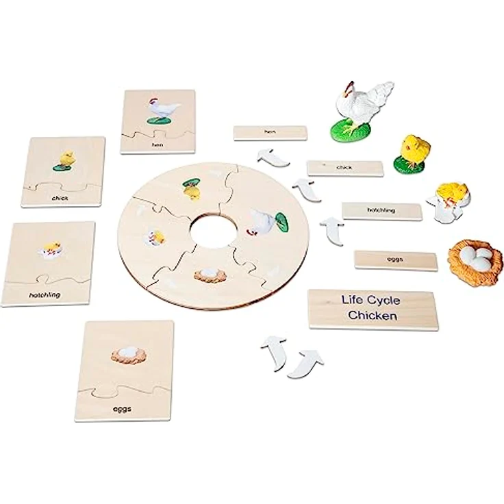 Betzold Lebenszyklus Huhn, Holz-Puzzle mit Phasen der Entwicklung vom Ei zum Huhn, für Kinder ab 5 Jahren – Bild 3