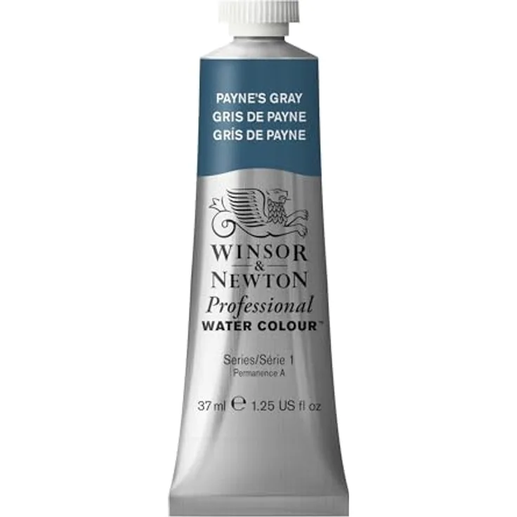 Winsor & Newton Professional Aquarellfarbe 37ml Tube - Payne's Grau, Künstlerqualität, hohe Farbbrillanz, lichtecht, Archivqualität
