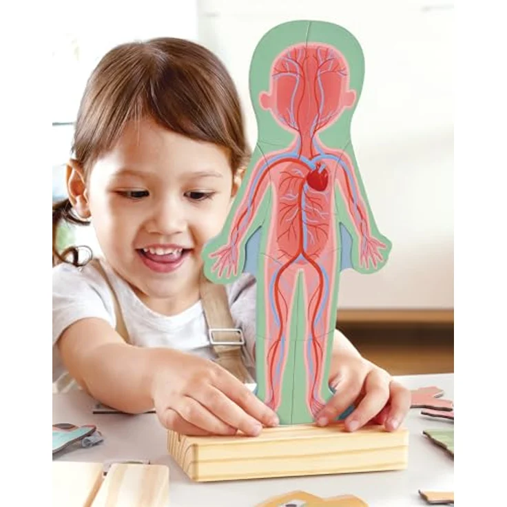 Hape E1652 Puzzle, Mehrfarbig - Magnetisches Anatomie-Puzzle für Kinder zur Entwicklung von Mint-Fähigkeiten – Bild 4