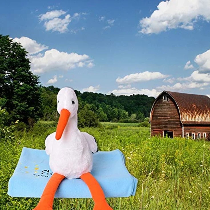 TE-Trend Kuscheltier Storch 38cm blau mit weicher Decke 100x80cm, Bestickt mit: „Schön das du da bist“ – Bild 6