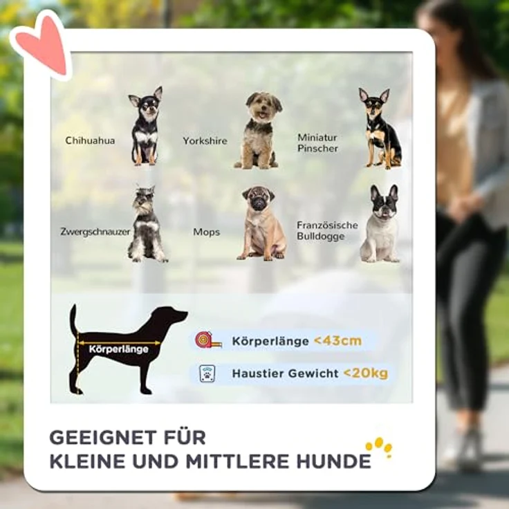 PawHut Hundewagen, klappbarer Hundebuggy für Hunde & Katzen bis 20 kg, Schwarz/Dunkelgrün, mit verstellbarem Sonnendach und Sicherheitsgurten – Bild 4