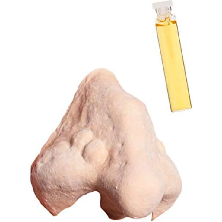 Maskworld Hochwertiges Halloween Schminke Komplett-Set HEXE - Make-Up - Hexennase - Scary Skin - Kontaktlinsen - Filmreifer Look – Bild 4