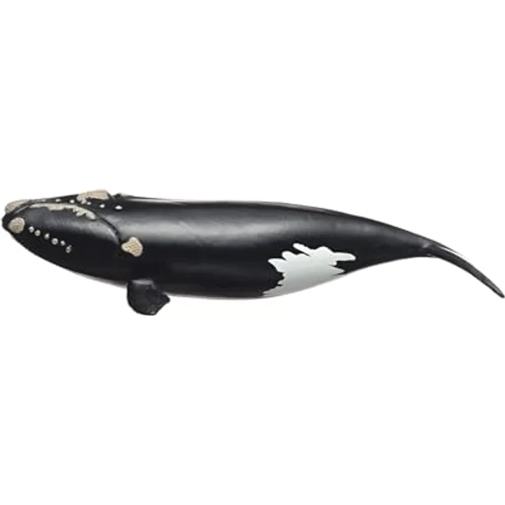 Schleich Nordatlantischer Glattwal (14878), Wild Life Figur, 19 x 9,6 x 4,7 cm, bedrohte Tierart – Bild 4