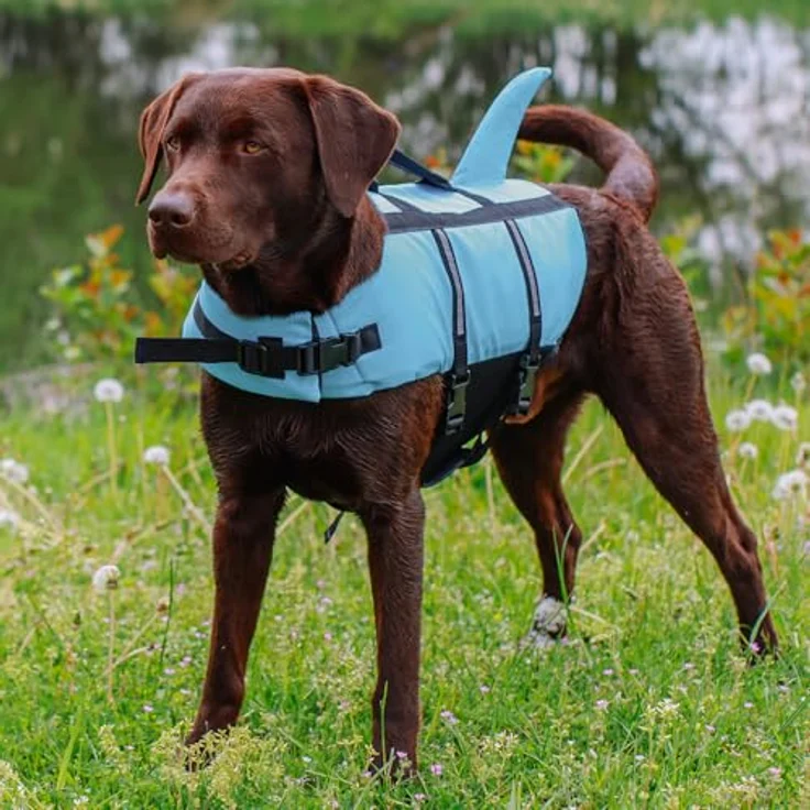 Nobby Schwimmweste Hunde Schwimmweste Sharki hellblau, Sicherheit und Spaß im Wasser – Bild 5