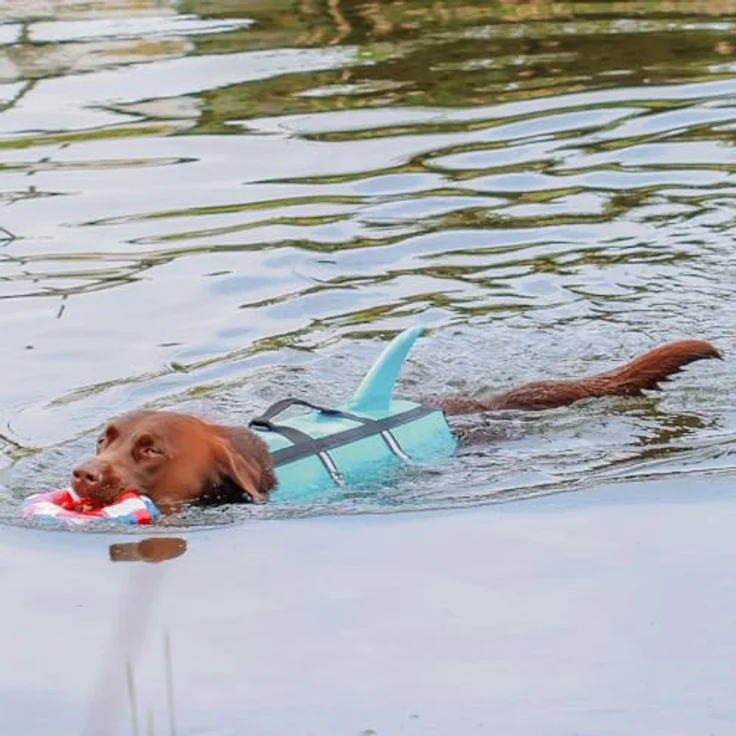 Nobby Schwimmweste Hunde Schwimmweste Sharki hellblau, Sicherheit und Spaß im Wasser – Bild 7