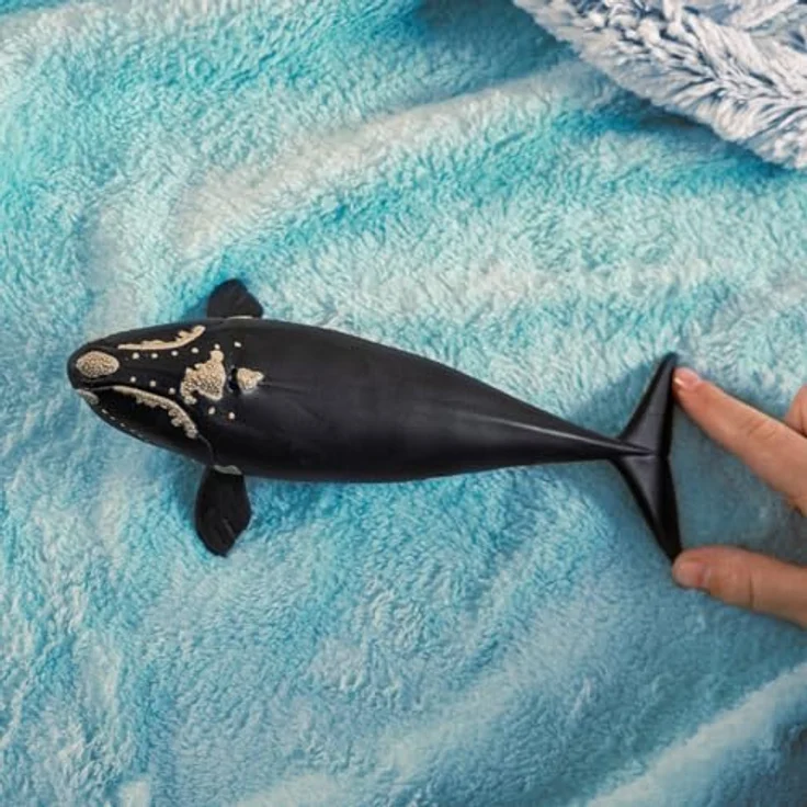 Schleich Nordatlantischer Glattwal (14878), Wild Life Figur, 19 x 9,6 x 4,7 cm, bedrohte Tierart – Bild 2